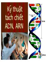 Kĩ thuật tách chiết ADN, ARN
