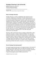 Strategic Planning in the University