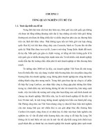 Giải pháp phát triển thương hiệu công ty cổ phần đồ hộp Hạ Long