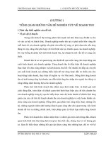 Phân tích doanh thu bán hàng tại công ty Cổ phần Đầu tư Sông Đà - Việt Đức