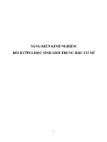 Sáng kiến kinh nghiệm bồi dưỡng học sinh giỏi THCS