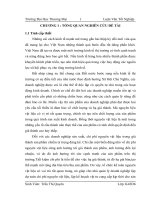 Kế toán nguyên vật liệu khô đậu tương tồn kho tại công ty TNHH Liên Kết Đầu Tư Livabin