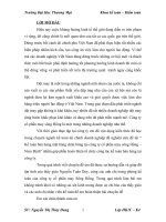 Kế toán bán hàng mặt hàng chăn bông tại công ty cổ phần may sông Hồng – Nam Định (2)