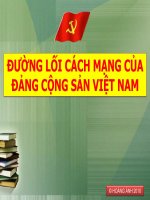 ĐƯỜNG LỐI CÁCH MẠNG CỦA ĐẢNG CỘNG SẢN VIỆT NAM
