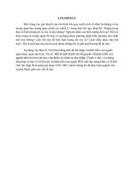 Bài thảo luận kinh tế lượng: Phát hiện và khắc phục hiện tượng tự tương quan