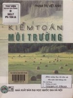 Kiểm toán môi trường