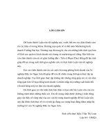 Giải pháp marketing thâm nhập thị trường EU đối với mặt hàng thủ công mây tre đan của Xí nghiệp mây tre Ngọc Sơn