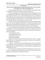 Quản trị kênh phân phối mặt hàng giầy vải của công ty cổ phần giầy thể thao Động Lực trên thị trường Hà Nội