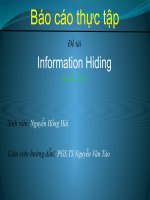 Xây dựng chương trình GIẤU TIN TRONG ẢNH BITMAP 24 BIT VÀ ỨNG DỤNG