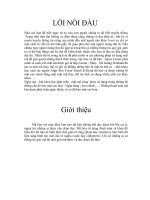 Báo cáo lập trình C# mã hóa và bảo mật thông tin