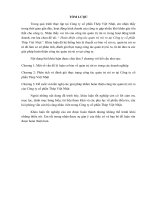 Hoàn thiện công tác quản trị rủi ro tại Công ty cổ phần Thép Việt Nhật