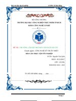 Thi công lắp đặt nhà máy sản xuất đá cây
