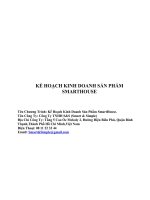 LẬP KẾ HOẠCH KINH DOANH SẢN PHẨM  SMARTHOUSE