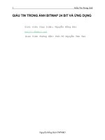 Xây dựng chương trình GIẤU TIN TRONG ẢNH BITMAP 24 BIT VÀ ỨNG DỤNG