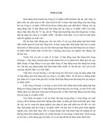 Pháp luật hợp đồng mua bán hàng hóa và thực tiễn áp dụng tại công ty cổ phần ADN