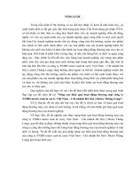 Nâng cao hiệu quả hoạt động thương mại công ty TNHH metro cash & carry Việt Nam – Chi nhánh Hà Nội ( Metro Thăng Long