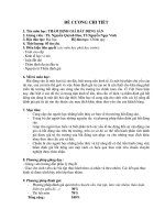 ĐỀ CƯƠNG CHI TIẾT THẨM ĐỊNH GIÁ BẤT ĐỘNG SẢN