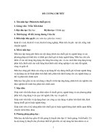 ĐỀ CƯƠNG CHI TIẾT Phân tích chuỗi giá trị