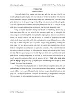 Phát triển kênh phân phối đồ điện gia dụng của công ty cổ phần phát triển thương mại và dịch vụ Nhật Trung