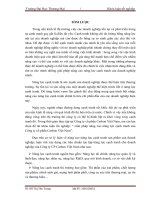 “ Giải pháp nâng cao năng lực cạnh tranh của Công ty cổ phần Carbon Việt Nam