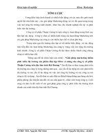 Giải pháp marketing nhằm phát triển thị trường sản phẩm tấm lợp Fibro xi măng của công ty cổ phần Thuận Cường trên địa bàn tỉnh Hải Dương