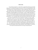 Tác động của lạm phát đến tiêu thụ sản phẩm dây cáp điện của Công ty TNHH Thương mại và Dịch vụ TCT trên thị trường Hà Nội