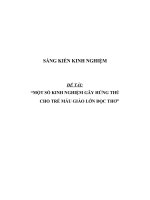 SKKN Một số kinh nghiệm gây hứng thú cho trẻ mẫu giáo lớn đọc thơ