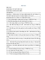 báo cáo thực tập kế tóa tại tại Công ty TNHH Sơn Long