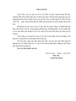 Giải pháp thị trường nhằm phát triển thương mại sản phẩm thực phẩm hun khói của công ty cổ phần Ông Già IKA trên thị trường  Hà Nội