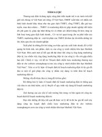 Hoạch định chiến lược marketing thương mại điện tử cho website xenanghangvn.com của công ty trách nhiệm hữu hạn Meditek Việt Nam