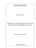 NGHIÊN CỨU QUÁ TRÌNH LÊN MEN BIA NỒNG ĐỘ CAO SỬ DỤNG NẤM MEN CỐ ĐỊNH TRÊN GEL ALGINATE