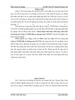 Hoàn thiện triển khai chiến lược phát triển thị trường tại Công ty TNHH Đầu tư thương mại ULYTAN