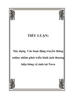 TIỂU LUẬN xây dựng các hoạt động truyền thông online nhằm phát triển hình ảnh thương hiệu bông vệ sinh tai nova