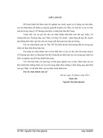 Phân tích tình hình tài chính của công ty CP thương mại dịch vụ tổng hợp Hai Bà Trưng