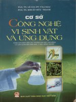 Cơ sở công nghệ vi sinh vật và ứng dụng - Dùng cho sinh viên các trường ĐH, CĐ có liên quan đến sinh học, y học, nông nghiệp