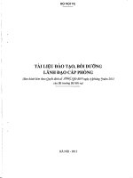 Tài liệu đào tạo bồi dưỡng cấp trưởng phòng