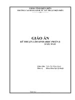 GIÁO ÁN KỸ THUẬT LÂM SINH (HỌC PHẦN I)