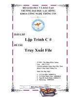 BÁO CÁO Lập Trình C #  ĐỀ TÀI Truy Xuất File