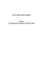 SKKN Y tế học đường trong trường THCS
