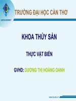 THỰC VẬT BIỂN GVHD: DƯƠNG THỊ HOÀNG OANH