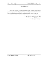 Hoàn thiện công tác kế toán nguyên vật liệu tại công ty cổ phần phát triển đầu tư xây dựng Hoàng Phát