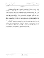 Kế toán bán hàng nhóm hàng đồ chơi ngành học mầm non tại công ty TNHH Thiết Bị Giáo Dục và Đồ Chơi Việt Nam