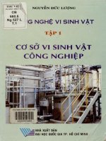 Công nghệ vi sinh vật. Tập 1 Cơ sở vi sinh vật công nghiệp