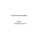 SKKN Rèn học sinh yếu lớp 5