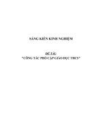 SKKN Về công tác phổ cập giáo dục THCS