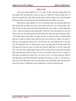 Phát triển kênh phân phối mặt hàng thời trang của Công ty cổ phần thủ công mỹ nghệ Hoa Lư trên thị trường Hà Nội