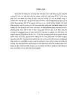 Giải pháp phát triển xuất khẩu mặt hàng da giày sang thị trường EU của chi nhánh công ty TNHH Hóa Dệt Hà Tây