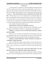 Phân tích lợi nhuận tại Công ty TNHH Phát triển TM&SX Thái Hòa