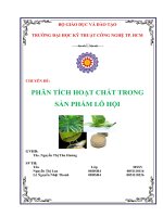 tìm hiểu về cây lô hội ( cây nha đam)