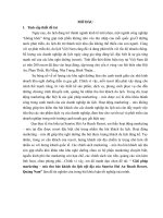 Giải pháp marketing – mix thu hút khách du lịch nội địa của Sunrise Hoi An Beach Resort, Quảng Nam